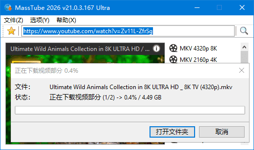 MassTube - 批量YouTube视频下载与格式转换工具 Ultra v21.0.3.169 多语便携版-小P的个人笔记